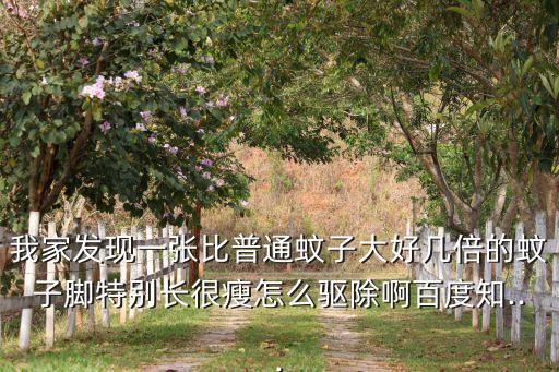 我家發現一張比普通蚊子大好幾倍的蚊子腳特別長很瘦怎么驅除啊百度知...