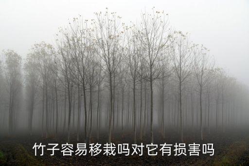 茨竹用什么農(nóng)藥,什么農(nóng)藥可以殺死竹根