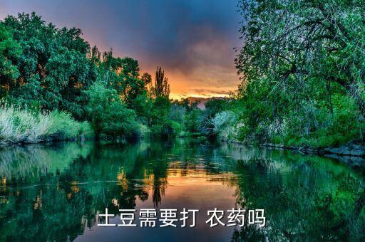 土豆需要打 農藥嗎