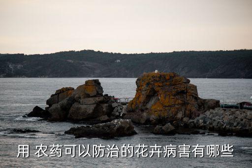 用 農藥可以防治的花卉病害有哪些