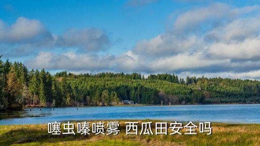 西瓜地里能買什么農藥