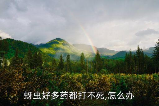 蚜蟲好多藥都打不死,怎么辦