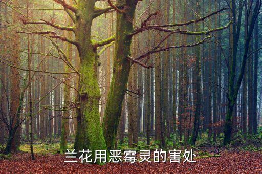 蘭花用惡霉靈的害處