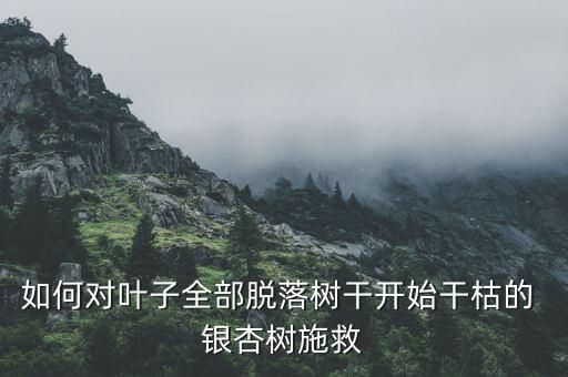 如何對(duì)葉子全部脫落樹干開始干枯的 銀杏樹施救
