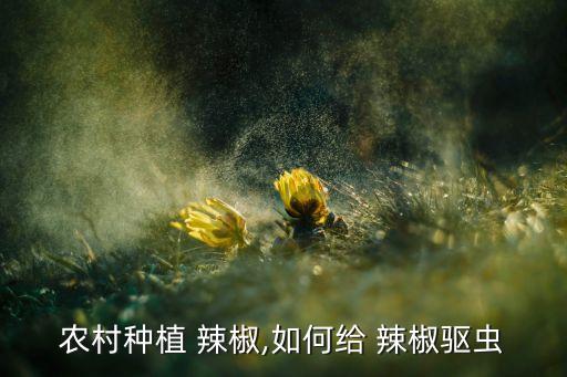 辣椒摘了噴什么農藥,辣椒開花時候可噴農藥嗎