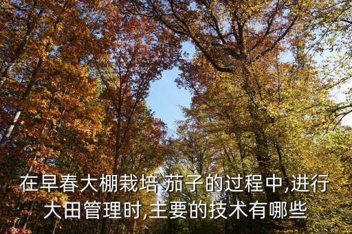 茄子苗期用什么農(nóng)藥,茄子一般打什么農(nóng)藥
