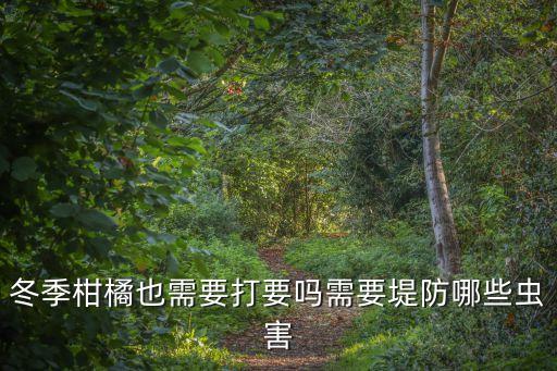 甘橘立春后打什么農(nóng)藥