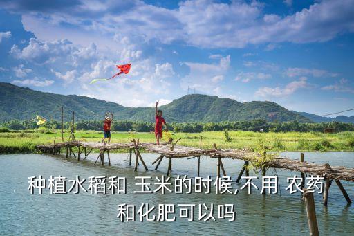玉米為什么不怕農藥,海參為什么不怕農藥