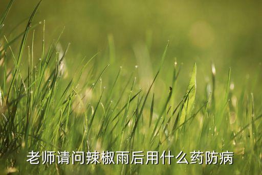 下雨過后打什么農藥好打,蔬菜下雨多打什么農藥