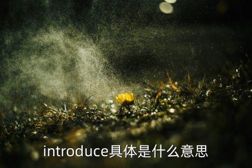 introduce具體是什么意思
