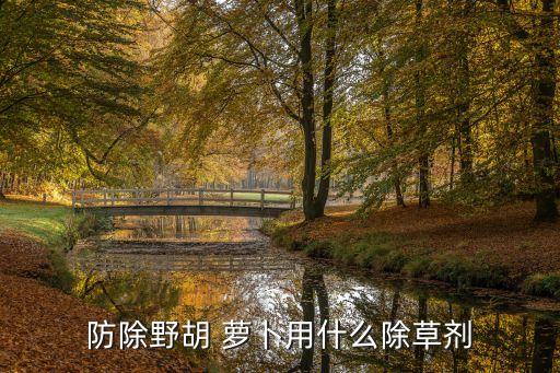 蘿卜上有麻點什么原因,蘿卜有麻點用什么農(nóng)藥