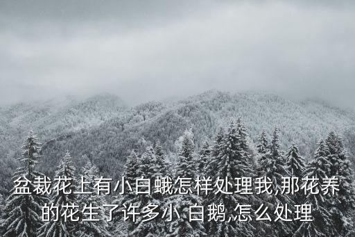 盆裁花上有小白蛾怎樣處理我,那花養(yǎng)的花生了許多小 白鵝,怎么處理