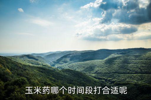 玉米苗期打農藥什么時候打,玉米噴農藥最好是什么時候噴