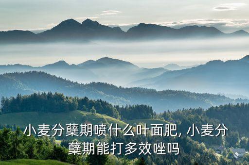 小麥灌漿打什么農藥好些,小麥的灌漿期是指什么