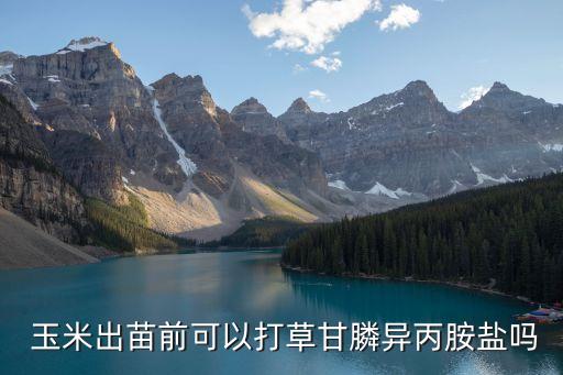 玉米葉片用什么農藥,什么農藥能讓玉米不結棒