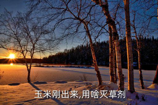玉米出苗后用什么農(nóng)藥防烏