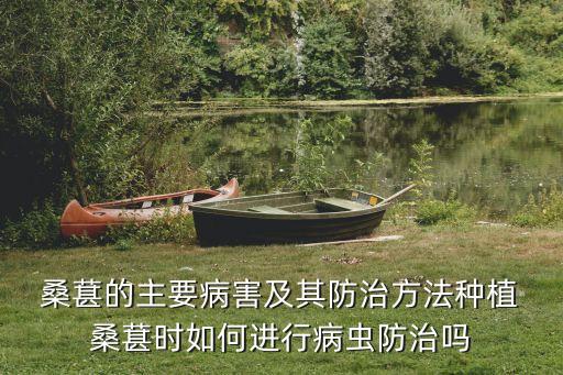  桑葚的主要病害及其防治方法種植 桑葚時如何進行病蟲防治嗎