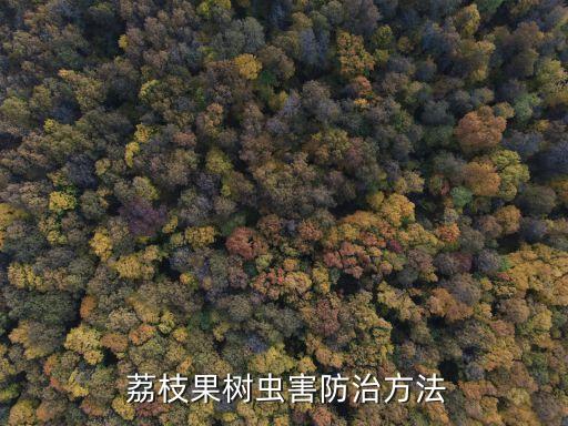  荔枝果樹蟲害防治方法