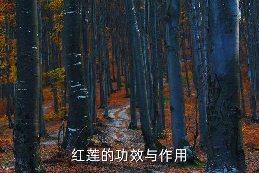 紅蓮的功效與作用