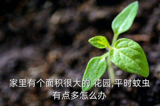 花園用什么農(nóng)藥滅蚊子,花園蚊子多有什么辦法