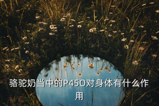 駱駝奶當(dāng)中的P45O對身體有什么作用