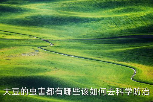 高產豆打什么農藥防蟲,油菜高產打什么農藥好