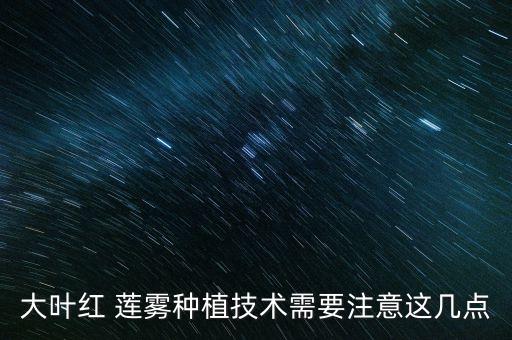 蓮霧花期打什么農藥