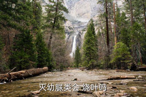 什么農(nóng)藥燒葉,農(nóng)藥濃度過大燒葉