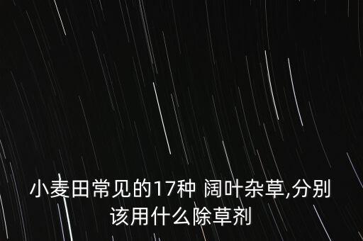 小麥田常見的17種 闊葉雜草,分別該用什么除草劑