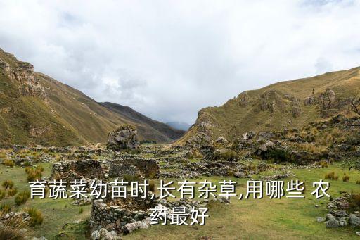 育蔬菜幼苗時(shí),長有雜草,用哪些 農(nóng)藥最好