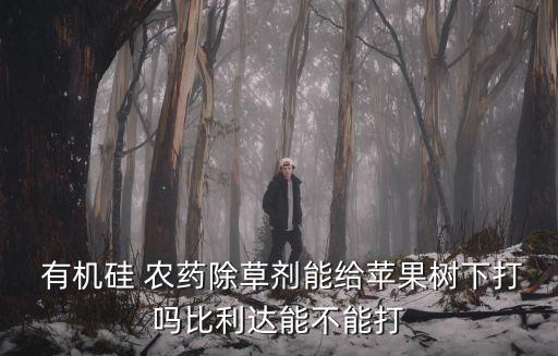 有機硅農藥都有什么,農藥有機硅助劑禁用