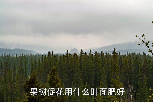  果樹促花用什么葉面肥好