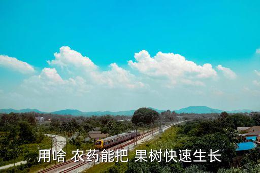沙果樹用什么農藥,果樹打什么農藥,啥時候打