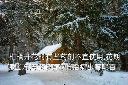  柑橘開花時有些藥劑不宜使用,花期哪些方法能夠有效防治病蟲害呢百...