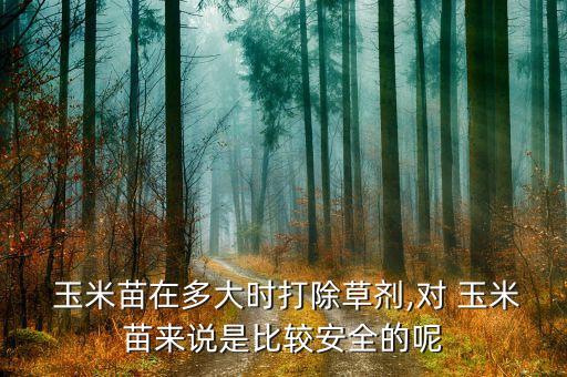  玉米苗在多大時打除草劑,對 玉米苗來說是比較安全的呢