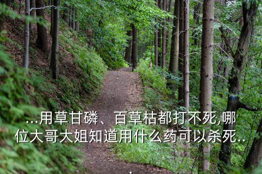 ...用草甘磷、百草枯都打不死,哪位大哥大姐知道用什么藥可以殺死...
