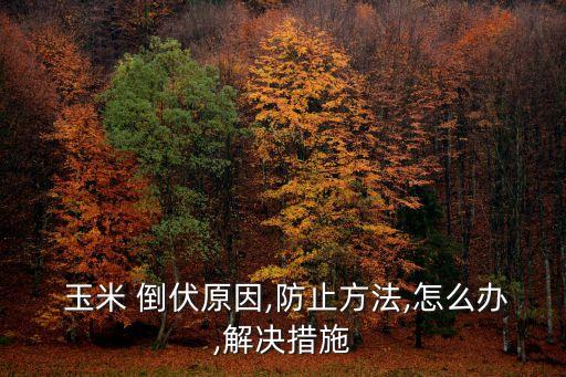 玉米用什么農(nóng)藥抗倒伏,玉米倒伏是因為缺什么