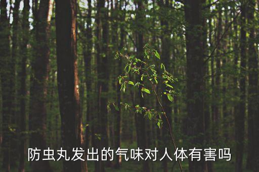 防蟲丸發(fā)出的氣味對人體有害嗎