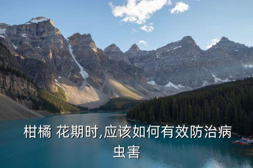  柑橘 花期時,應該如何有效防治病蟲害