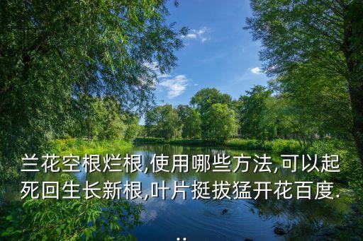 什么農藥可以讓樹爛根,花爛根用什么農藥特效