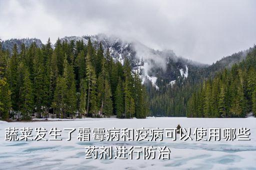 蔬菜發(fā)生了霜霉病和疫病可以使用哪些藥劑進(jìn)行防治