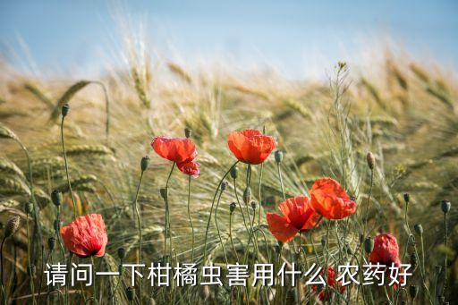 現在柑桔打什么農藥,柑桔什么時侯噴農藥好