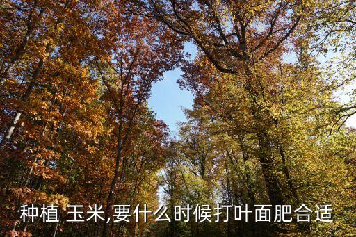 玉米什么季節打農藥最多,玉米治蟲用什么農藥好