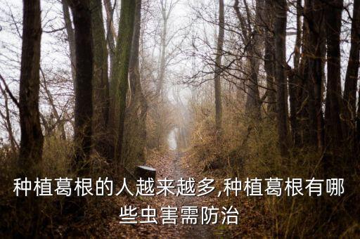 殺野生葛藤用什么農藥,野生葛藤有什么作用