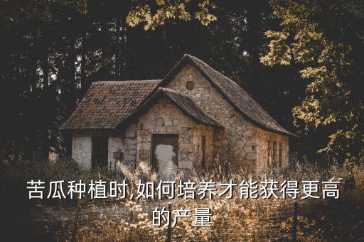  苦瓜種植時,如何培養才能獲得更高的產量