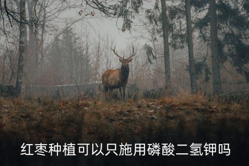 紅棗種植可以只施用磷酸二氫鉀嗎