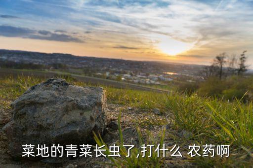 菜地的青菜長蟲了,打什么 農藥啊