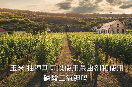  玉米 抽穗期可以使用殺蟲(chóng)劑和使用磷酸二氧鉀嗎