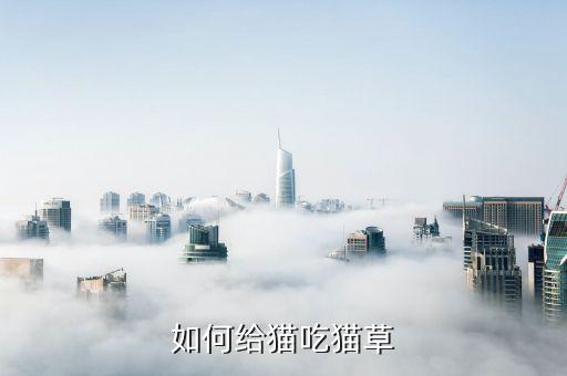 如何給貓吃貓草