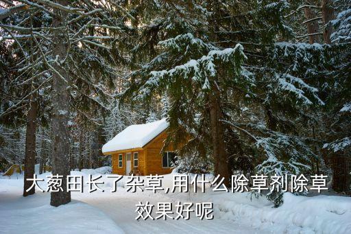 大蔥施用什么農藥種植好,大蔥種植打總共多少農藥
